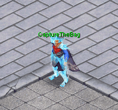 CaptureTheBag NPC