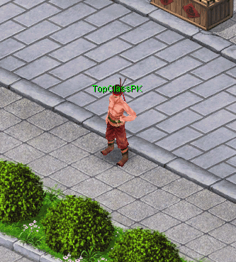 TopClass NPC